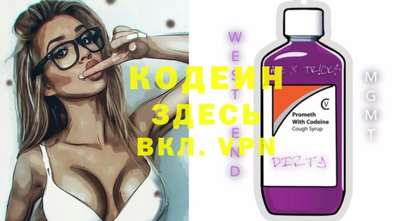 хмурый Пересвет