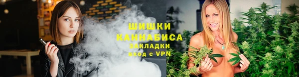 индика Дубовка