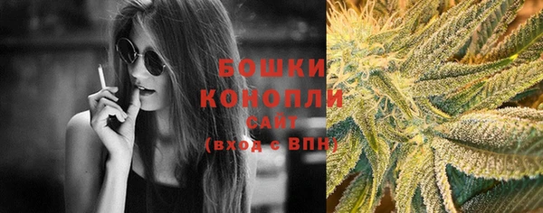 прущая мука Осташков