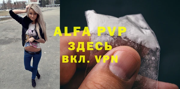 хмурый Пересвет
