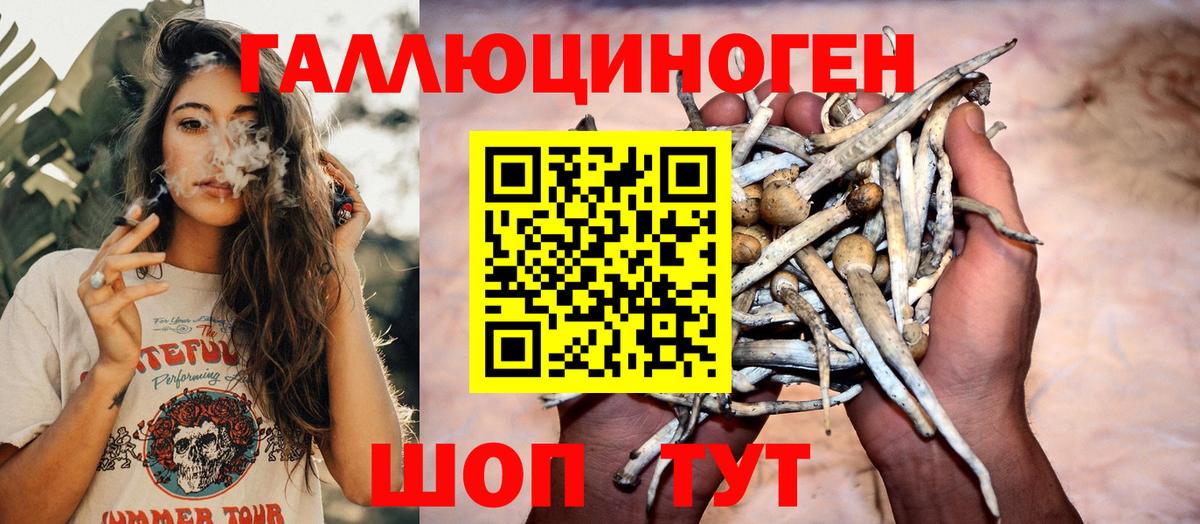 Шарыпово  купить наркотик  Вход с VPN  Псилоцибиновые грибы ЛСД 
