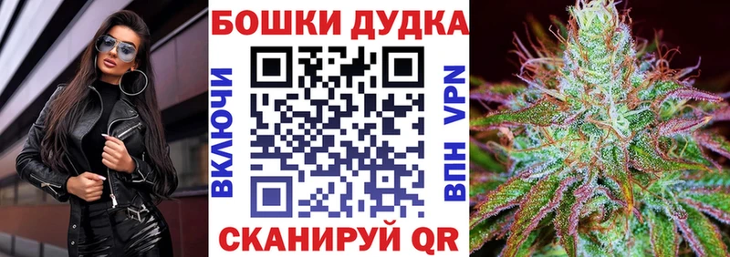 Конопля семена  где купить наркотик  Шарыпово 